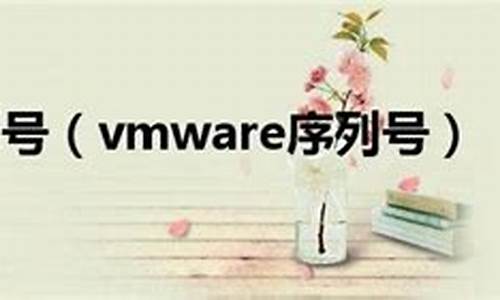 vmware序列号10_vmware 10序列号