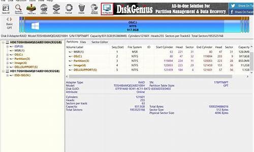 diskgenius格式化恢复_diskgenius格式化恢复数据