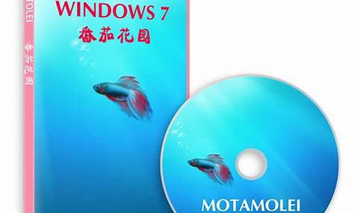 番茄花园windows xp sp3简体中文系统怎么安装啊_番茄花园xp系统安装步骤